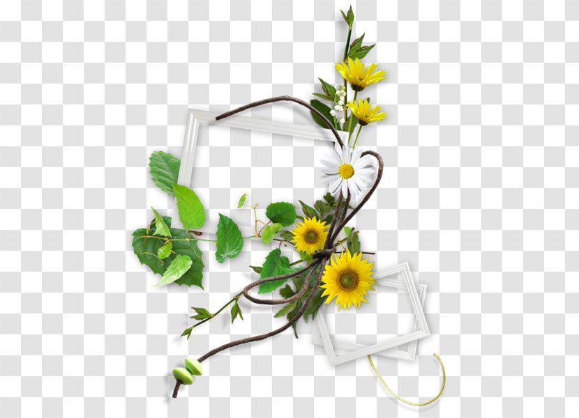 Chrysanthemum - Floral Design - Plant Transparent PNG