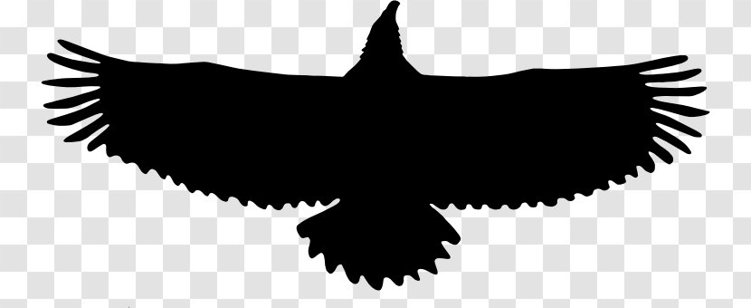 Eagle Clip Art - Black And White Transparent PNG