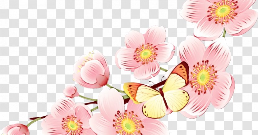 Pink Flower Petal Plant Spring - Paint - Flowering Transparent PNG