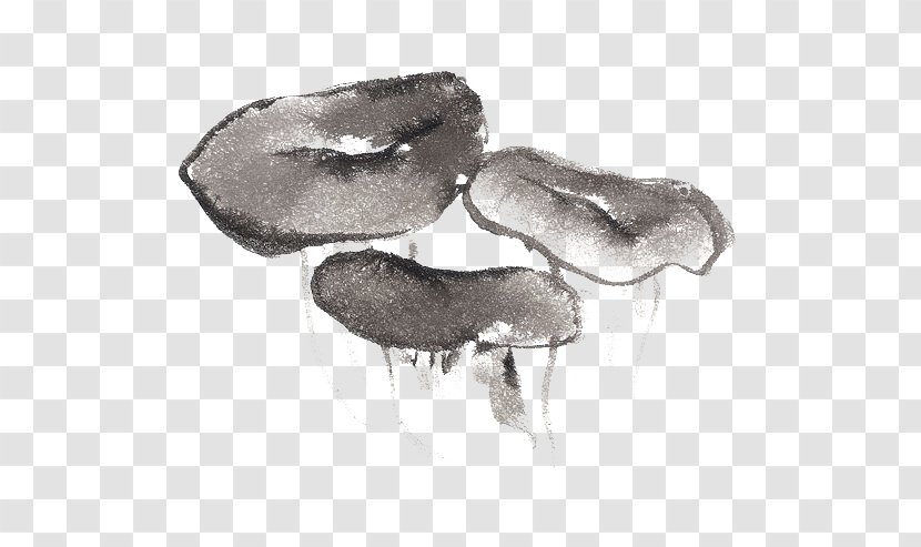 Mushroom Drawing Gratis - Hand Drawn Mushrooms Transparent PNG