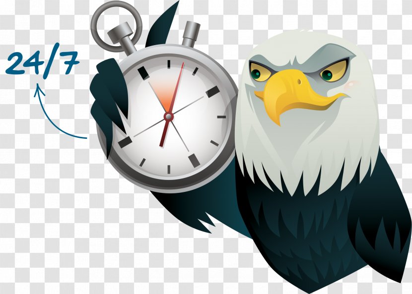 Digital Clock Bird Of Prey Beak - 24 Hours 7 Days Transparent PNG