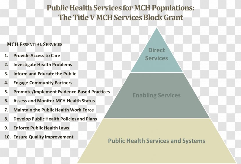 Health Care Public Maternal And Child Bureau - Injury Transparent PNG