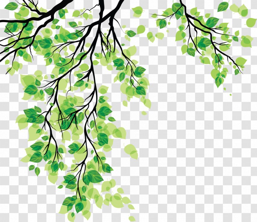 Leaf Clip Art - Branch - Green Leaves Transparent PNG