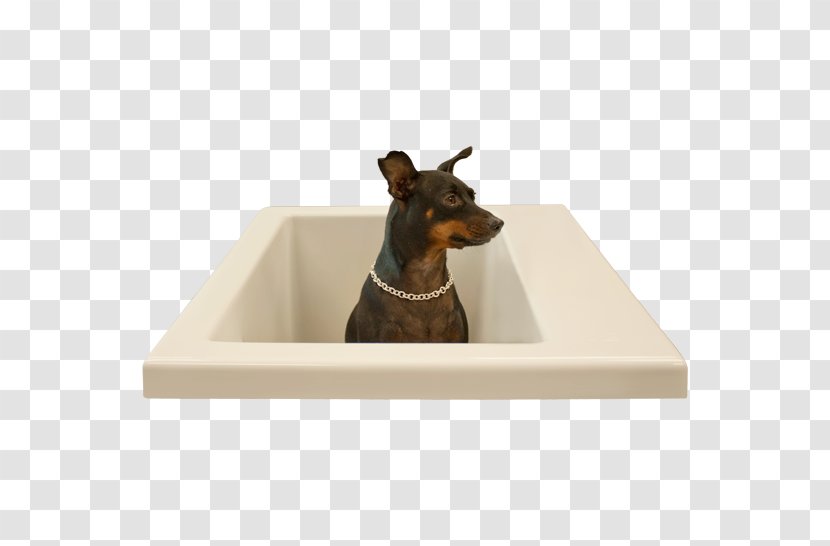 Baths Dog Breed Washing Shower - Infinity Tub Freestanding Transparent PNG