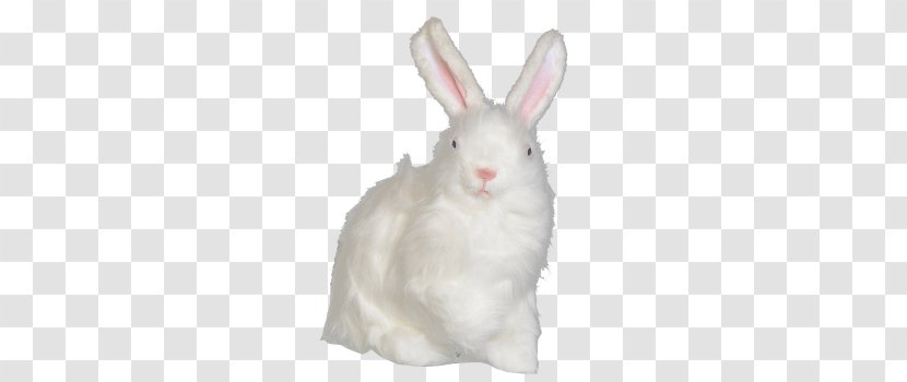 Domestic Rabbit Fur Hare Easter Bunny - Dimension Transparent PNG