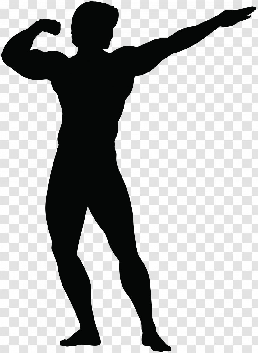 Printed T-shirt Fitness Centre Clothing - Man - Bodybuilders Vector Transparent PNG