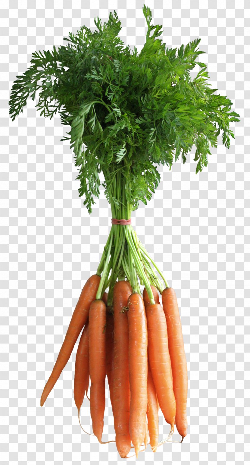 Carrot Vegetable Computer File - Produce - Carrots Clipart Picture Transparent PNG