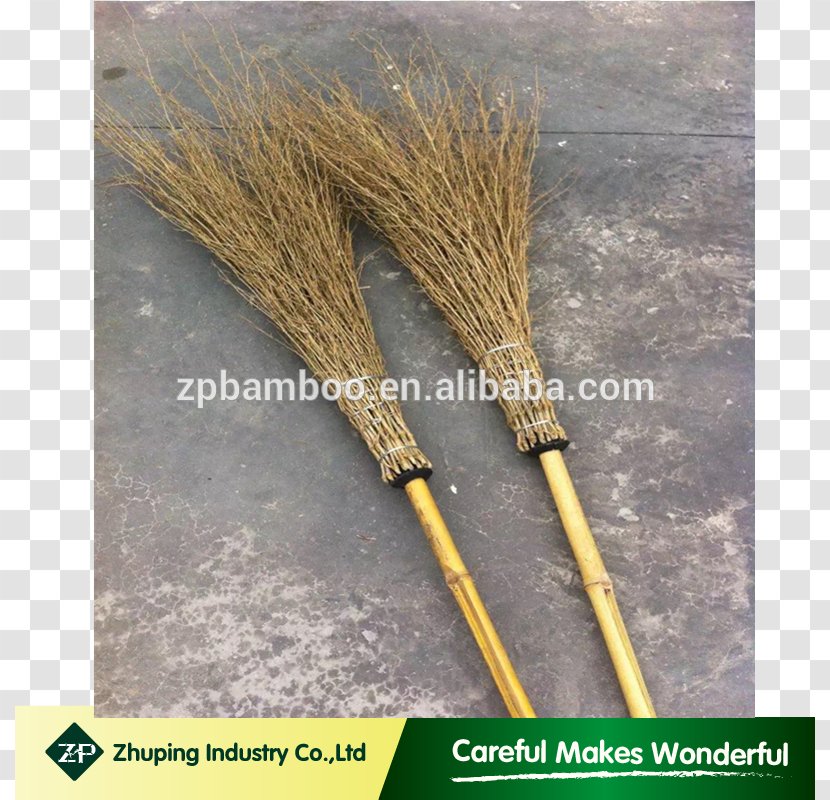 Broom Grasses - Chinese Bamboo Transparent PNG