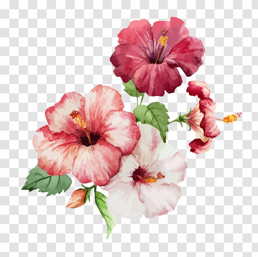 Hibiscus Flower Drawing Watercolor Painting - Flowers Transparent PNG
