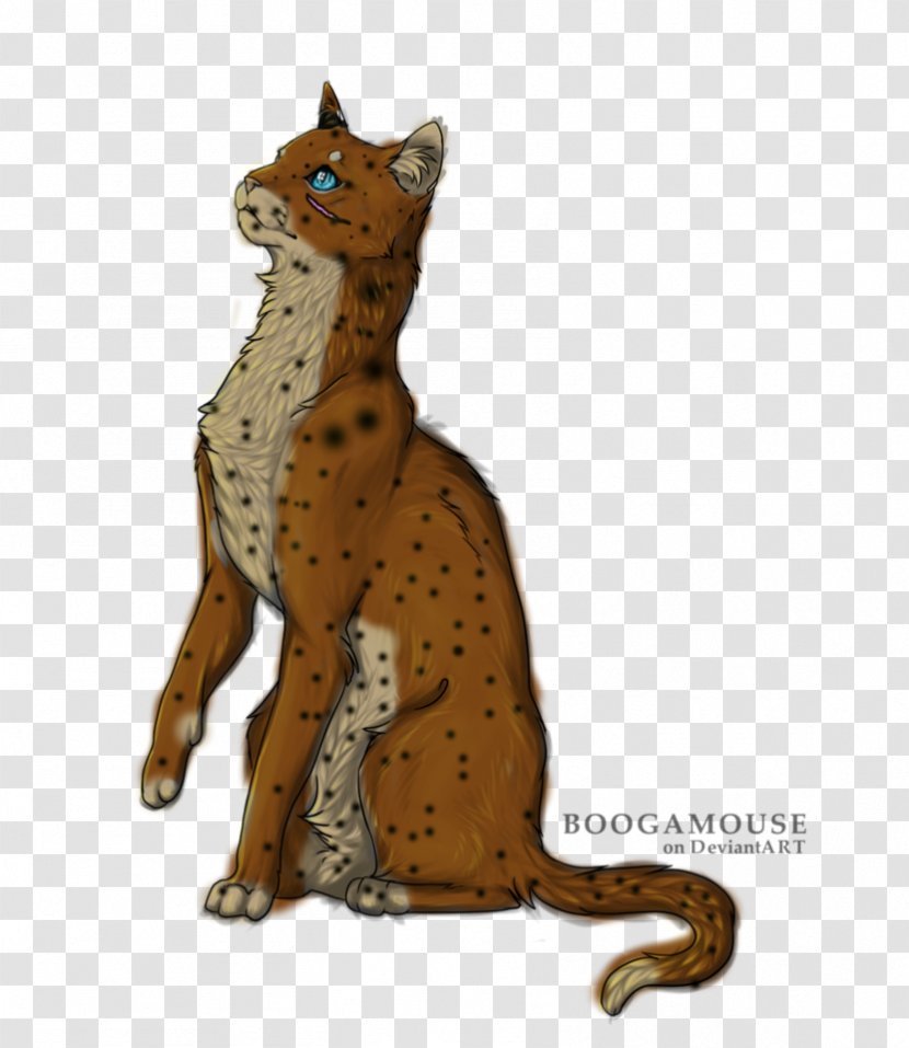 Cat Cheetah Whiskers Drawing Art - Small To Medium Sized Cats Transparent PNG