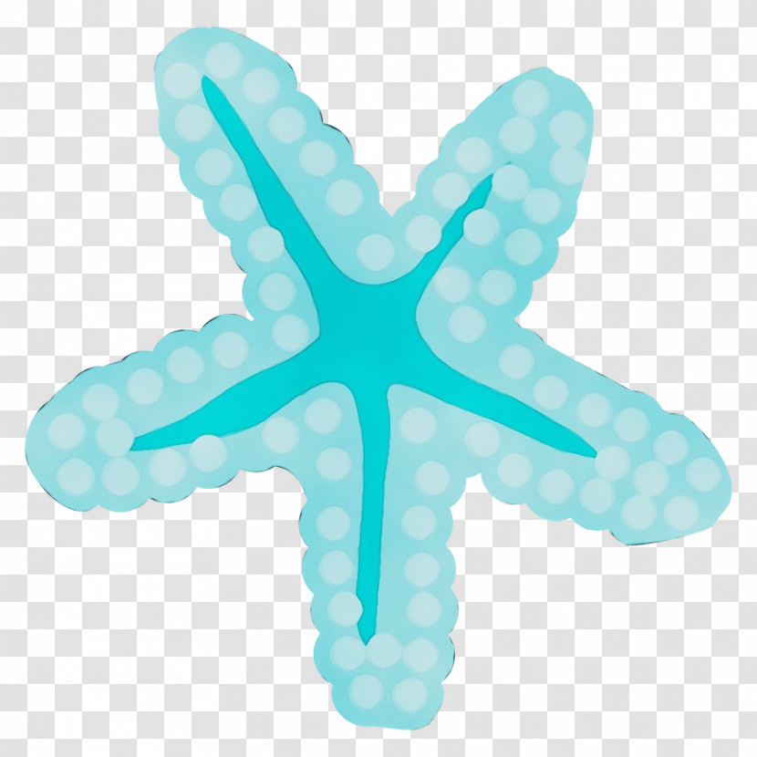 Aqua Turquoise Starfish Turquoise Symbol Transparent PNG