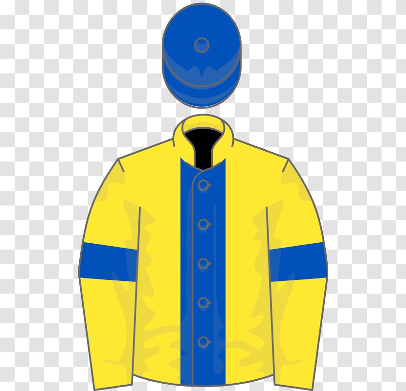 Prix Rothschild Family Greffulhe Red Bull Grand Of The Americas 2017 Malaysian - Yellow - Blue And Stripes Transparent PNG