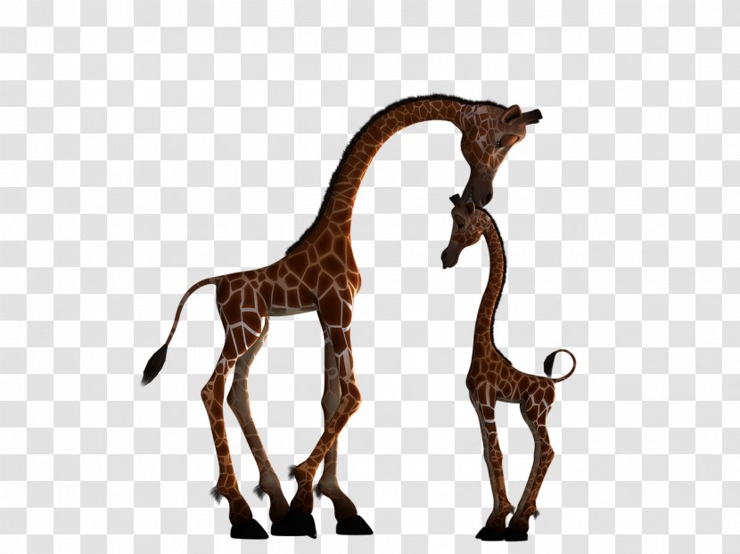 Giraffe Mother Child Infant Silhouette - April Transparent PNG