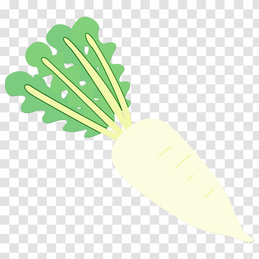 Leaf Green Vegetable Daikon Plant - Herb Vegetarian Food Transparent PNG