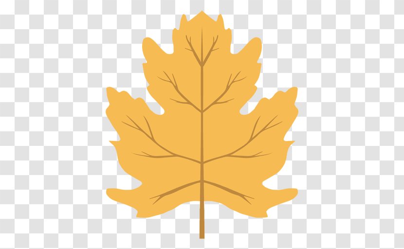 Maple Leaf Autumn Color Transparent PNG