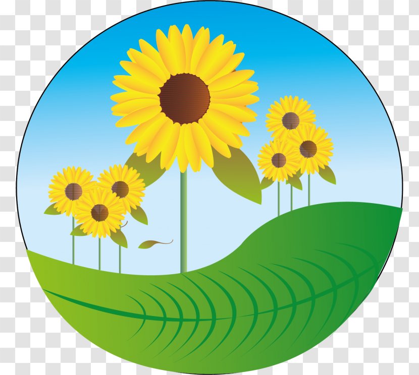 Vector Graphics Image Illustration - Yellow - Environment Day Border Sunflower Transparent PNG