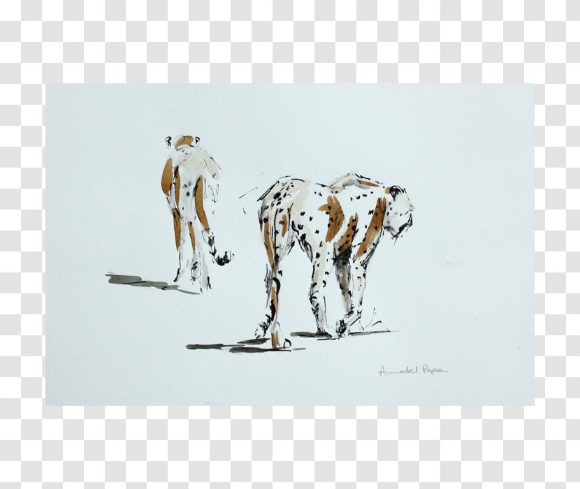 Dalmatian Dog Giraffe Drawing /m/02csf Transparent PNG