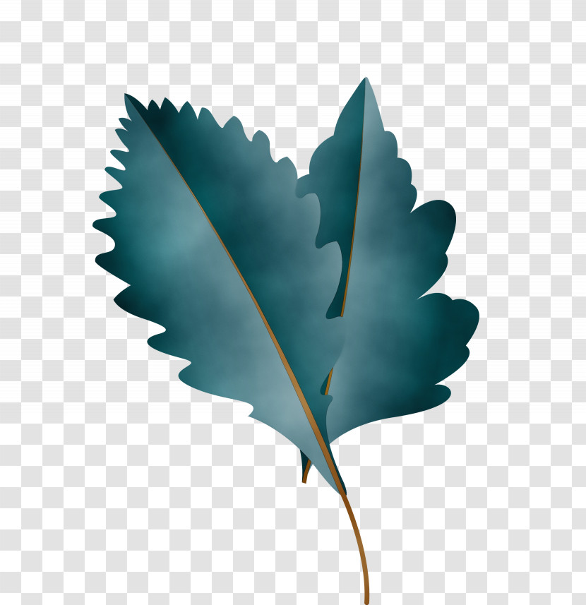 Leaf M-tree Turquoise Tree Science Transparent PNG