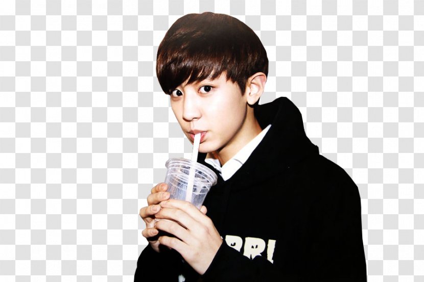 Chanyeol EXO K-pop Musician HISTORY - Suho - Wolf Transparent PNG
