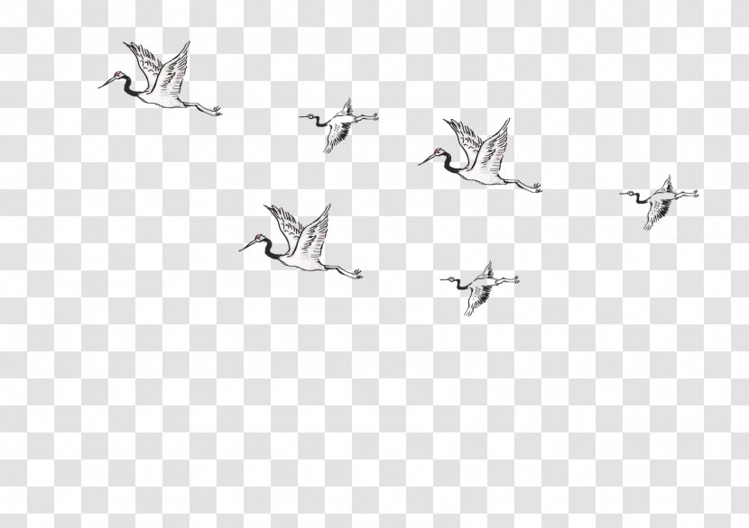 Hummingbird Flight - White - Bird Transparent PNG
