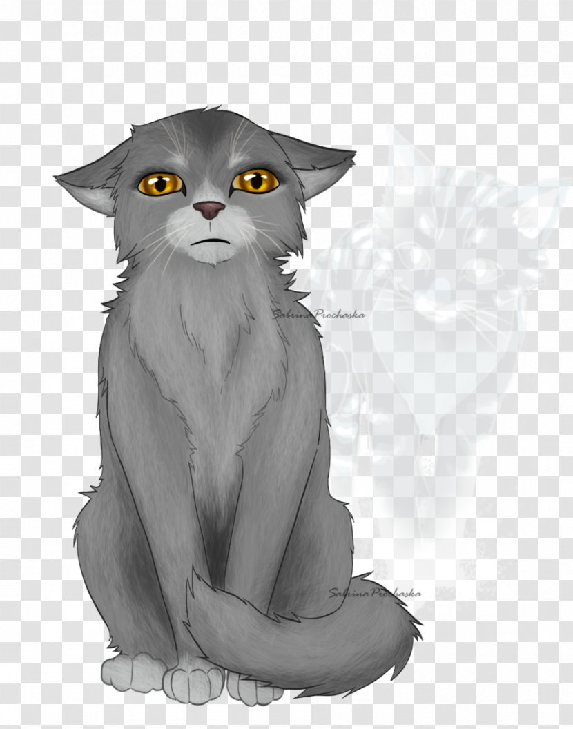 Whiskers Kitten Into The Wild Warriors Graystripe Transparent PNG