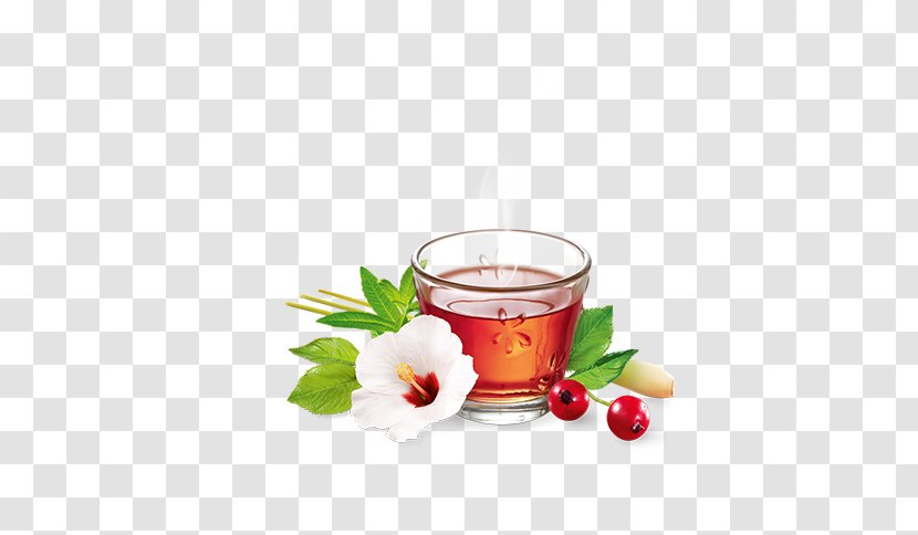 Herbal Tea Biscotti Cafe Sugar - Romania Transparent PNG