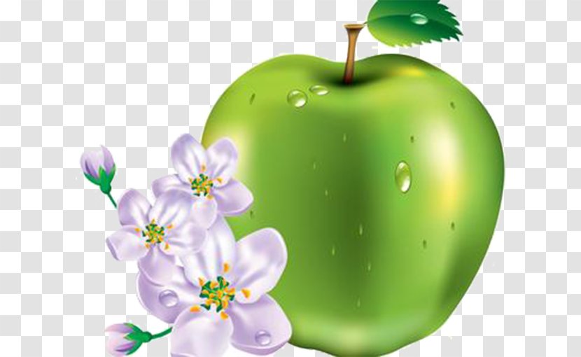 An Apple A Day Keeps The Doctor Away Clipping Path Clip Art - Fruit - Green Flowers Transparent PNG