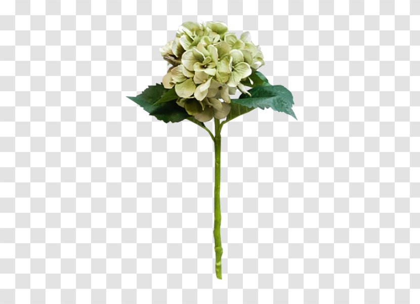 Hydrangea Floral Design Cut Flowers Flower Bouquet - Arranging Transparent PNG