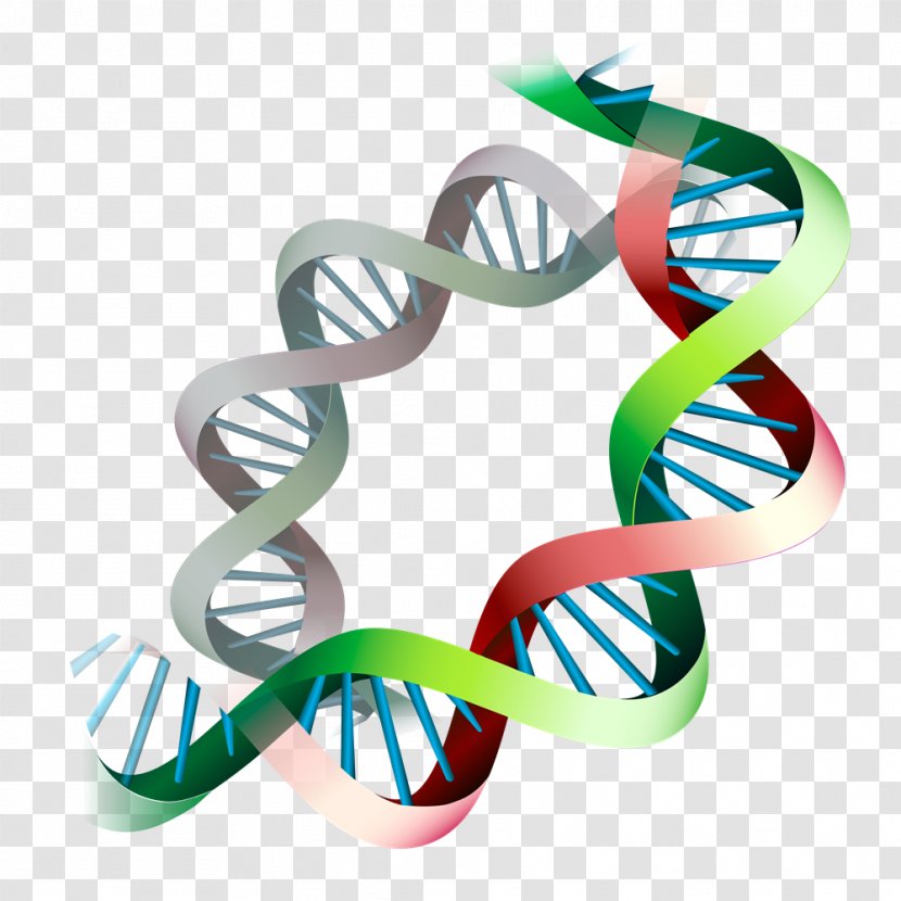 Epigenetics Gene Expression Epigenome DNA - Dna - Longevity Transparent PNG