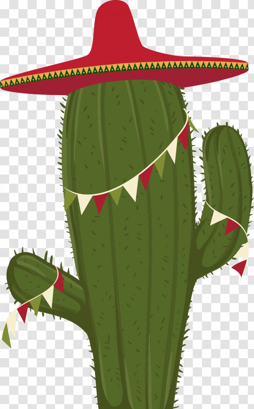 Cactaceae Euclidean Vector Saguaro - Watermelon - Creative Cartoon Cactus Transparent PNG