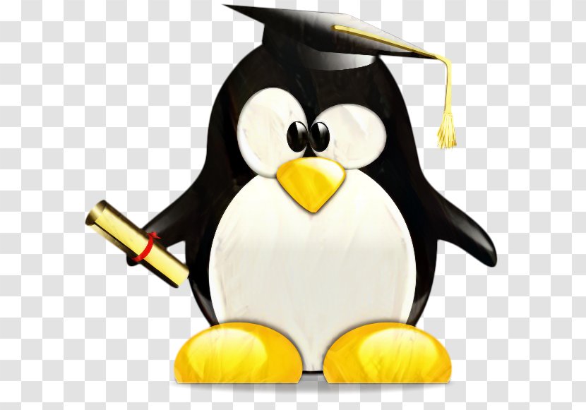 Graduation Cartoon - Penguin - Emperor King Transparent PNG