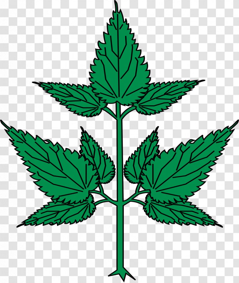 Cannabis Leaf Plant Stem Line Clip Art - Tree Transparent PNG