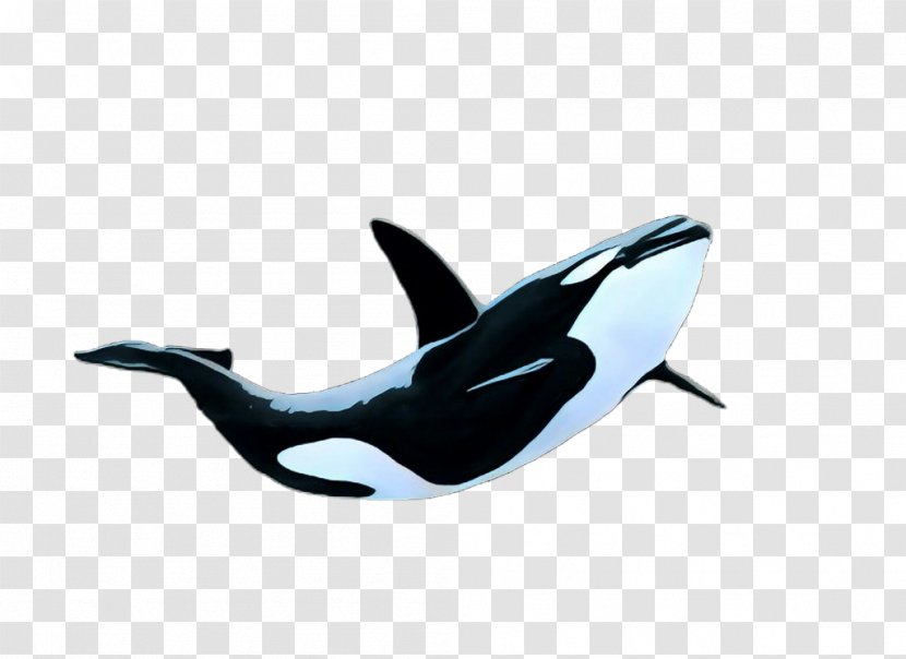 Whale Cartoon - Cetaceans - Fin Blue Transparent PNG