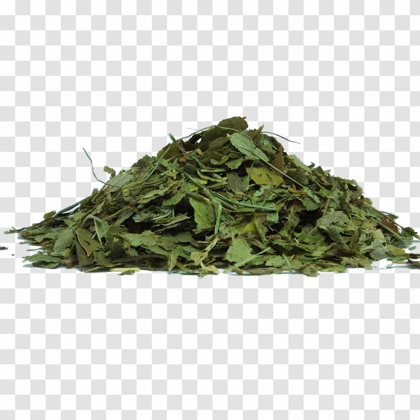 Green Tea Herbal Matcha - Food - Herbs Transparent PNG