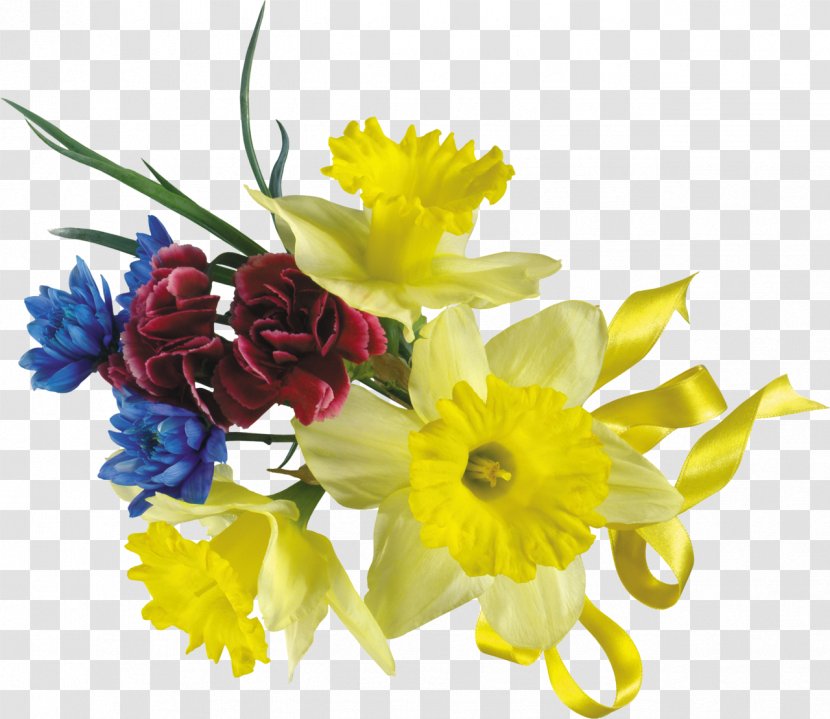 Flower Alexandra - Bouquet - Gazania Transparent PNG