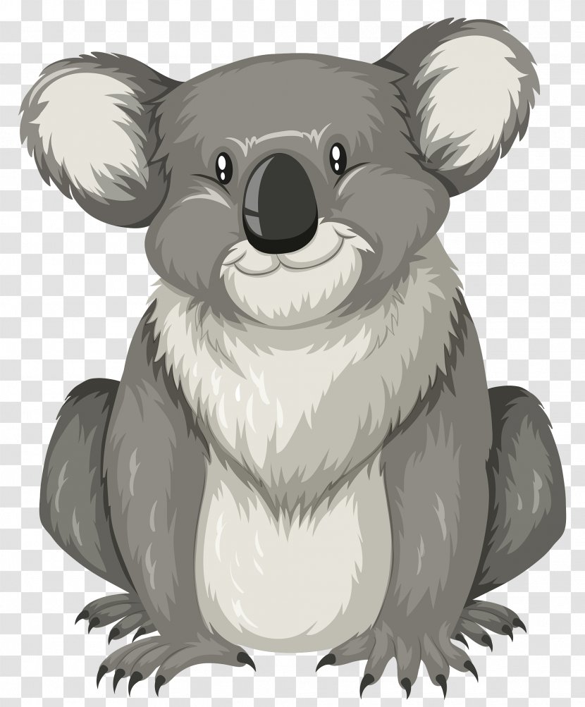 Letter K Illustration - Cartoon Koala Transparent PNG