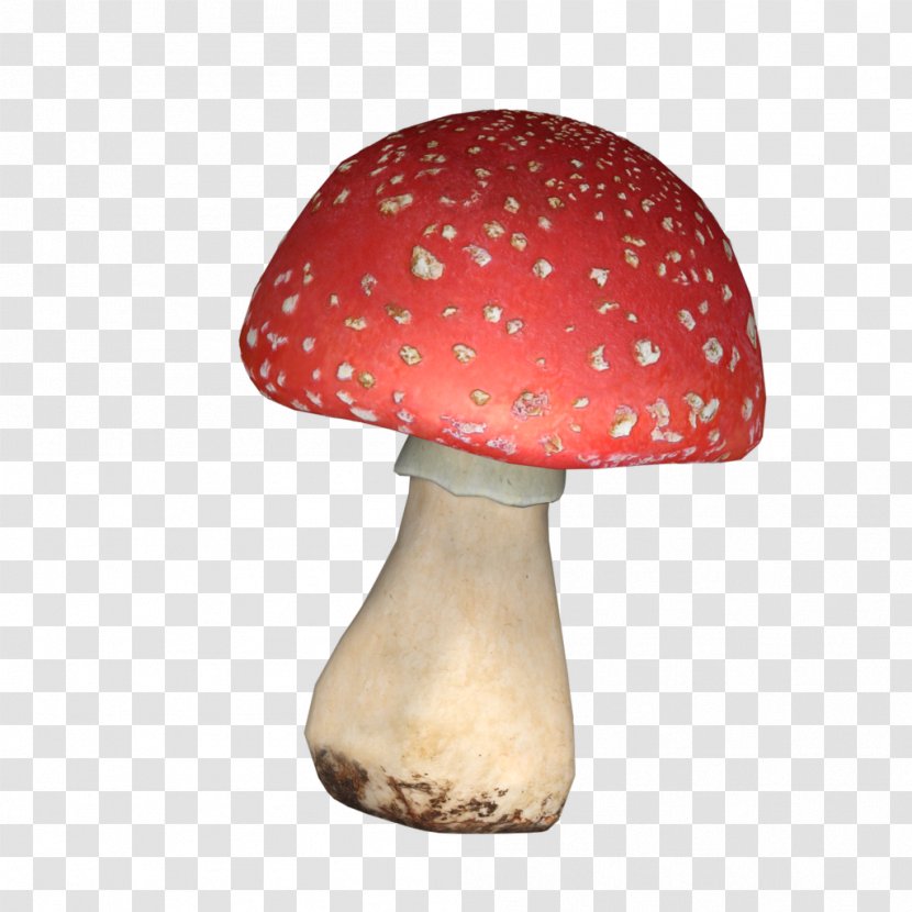 Mushroom - Flower - Frame Transparent PNG