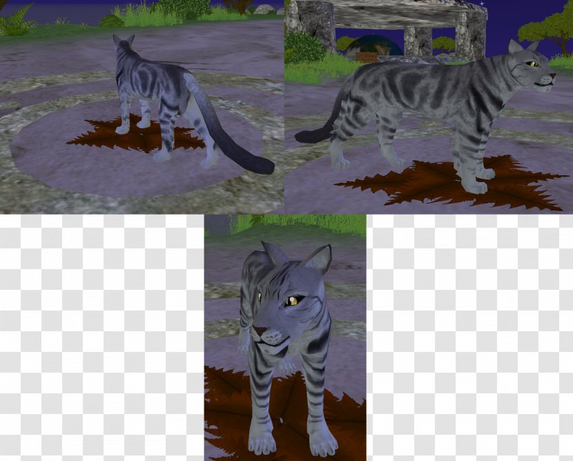 Cat Feral Ecosystem Tail Fauna - Carnivoran Transparent PNG