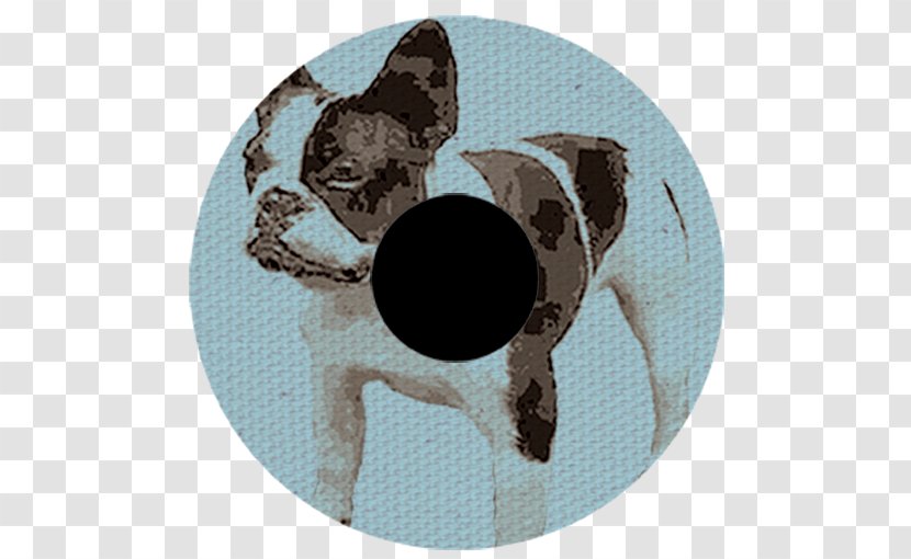 Dog Snout Transparent PNG