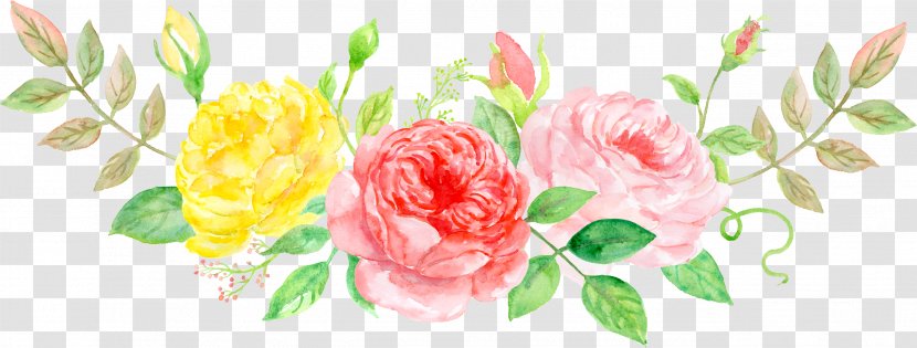 Watercolor Painting Peony - Elegant Flower Transparent PNG