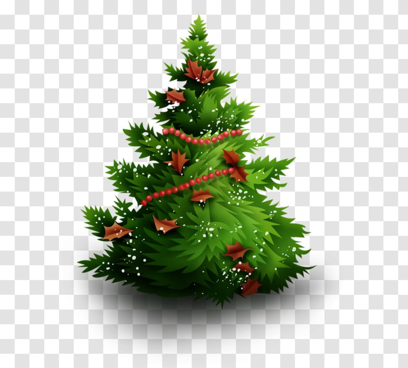 Christmas Tree Ornament Lights Decoration - Fir - Administration Transparent PNG