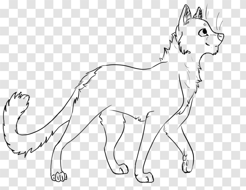 Whiskers Wildcat Dog Red Fox - Artwork - Cat Transparent PNG