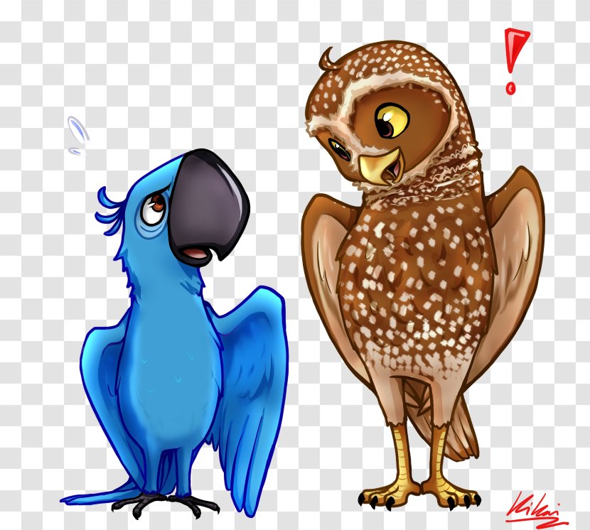 Owl Guardians Of Ga'Hoole Bird Nyra YouTube Transparent PNG