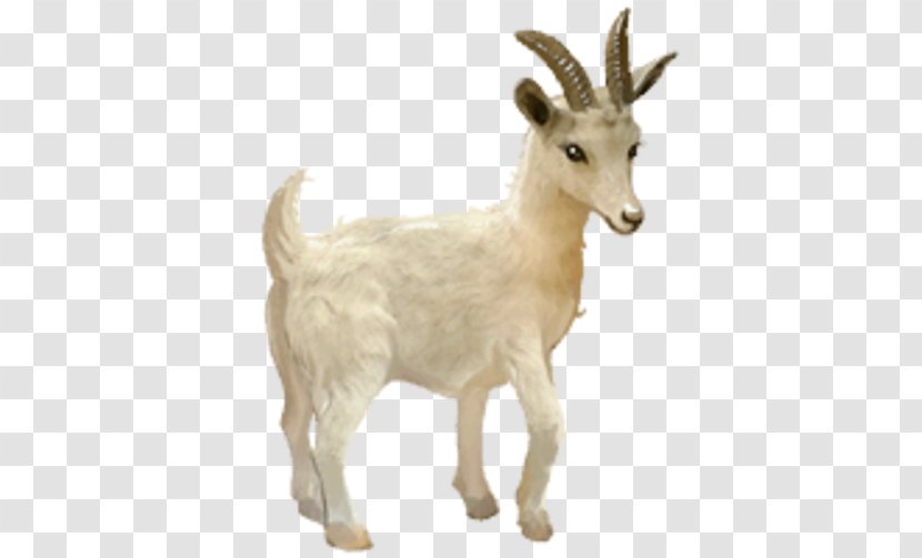 Howrse Horse Goat YouTube - Antelope Transparent PNG