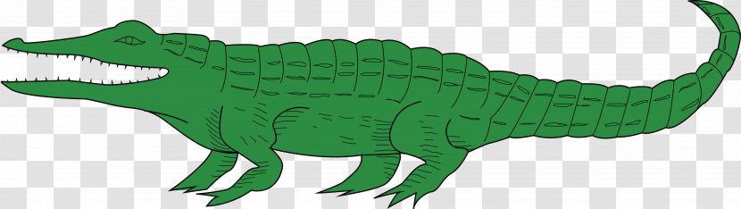 Crocodiles Chinese Alligator Clip Art - Crocodile Transparent PNG