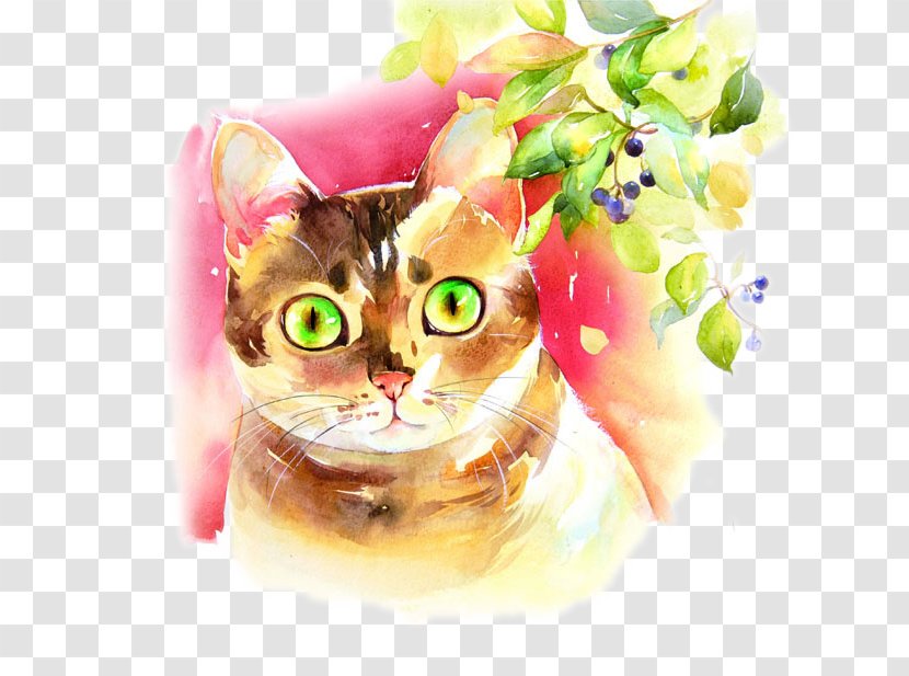 Cat Watercolor Painting Colored Pencil - Drawing - Green-eyed Picture Material Transparent PNG