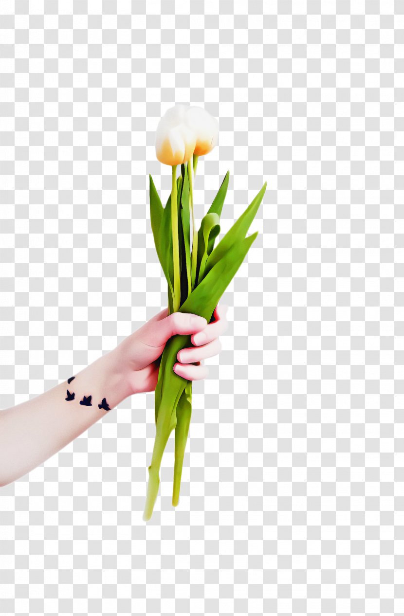 Flowers Background - Spring - Pedicel Bouquet Transparent PNG