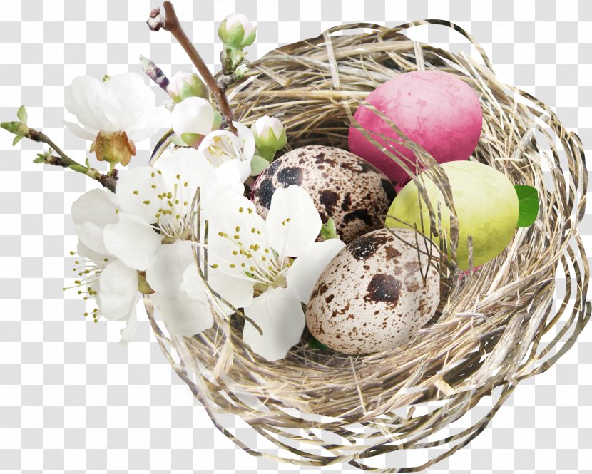 Egg Nest Easter Clip Art - Flower - Brown Eggs Transparent PNG