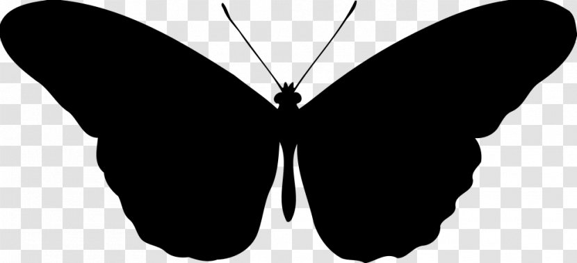 Butterfly Silhouette Clip Art - Monochrome Photography Transparent PNG