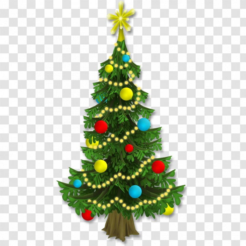 Christmas Tree - Pine - Tri Transparent PNG